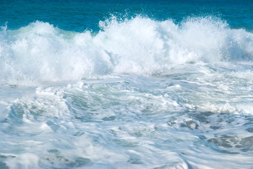 havet