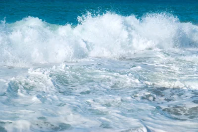 havet