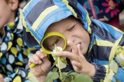 Børn undersøger planter