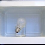 En almindelig elpære placeres i et glas med vand inde i en mikrobølgeovn.