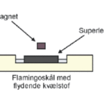 Demonstration af Meissner-effekten, hvor en magnet svæver over en superleder.