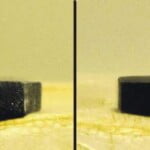 Meissner-effekt: En magnet svæver over en superleder.