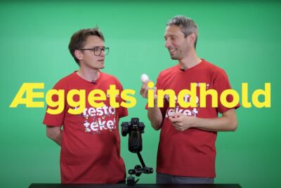 Æggets indhold