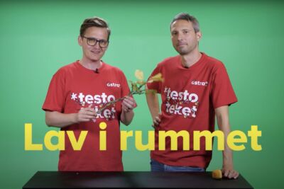 Lav i rummet