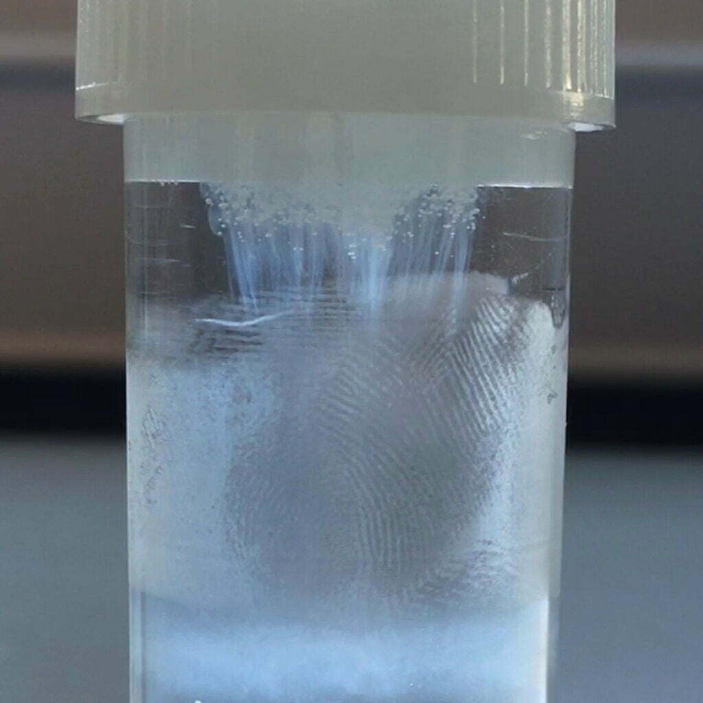 DNA er trukket ud af mundcelleskrap og kan ses i et plasticglas