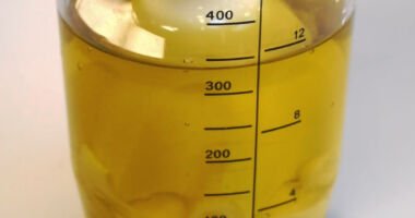 Olie, vand og æggeblomme blendes med en stavblender i et glas